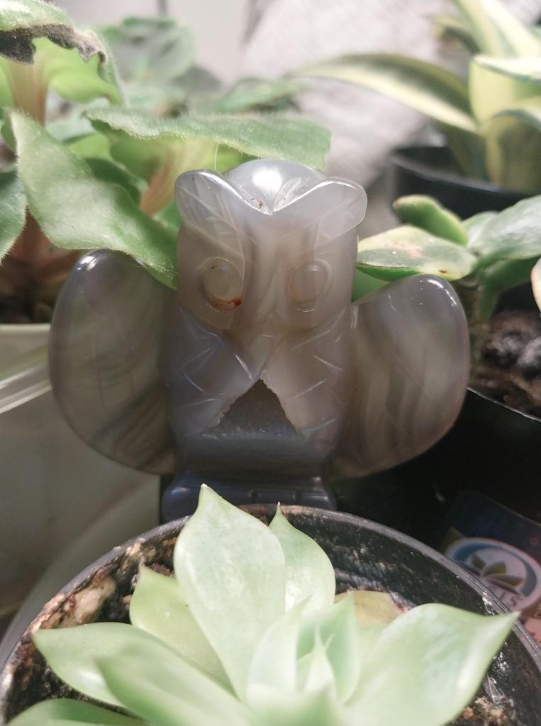 Amethyst Owl